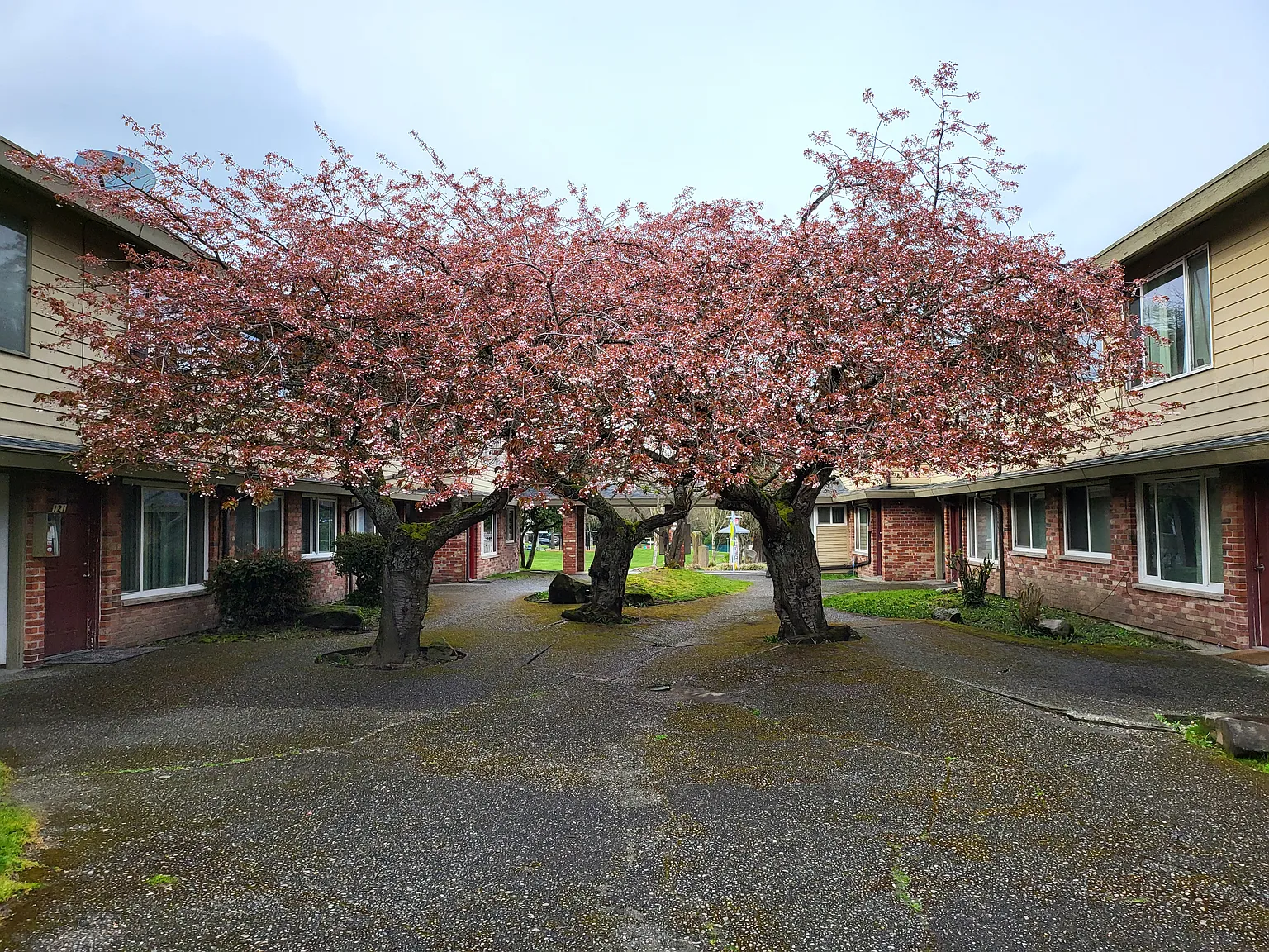 Colonial Garden Apartments — Photo 1
