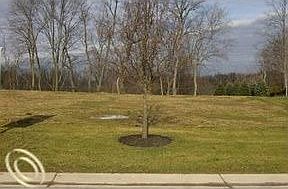 2nd image of 44240 Verona Ln
