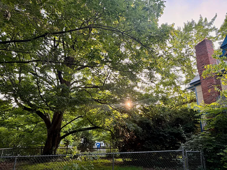 Fenced front yard, from side yard.