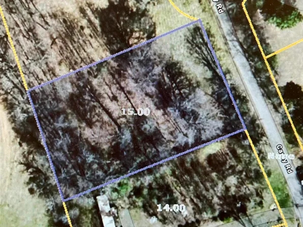 Carey Rd, Speedwell, TN 37870
