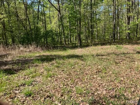 220 Madison St #410, Fredericktown, MO 63645