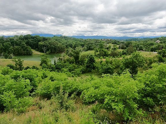 4th image of LOT 25 Mountain Lake Dr