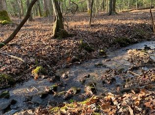 Snake Nation Rd, Blue Ridge, GA 30513