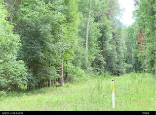 5701 SW 127th Ave, Micanopy, FL 32667