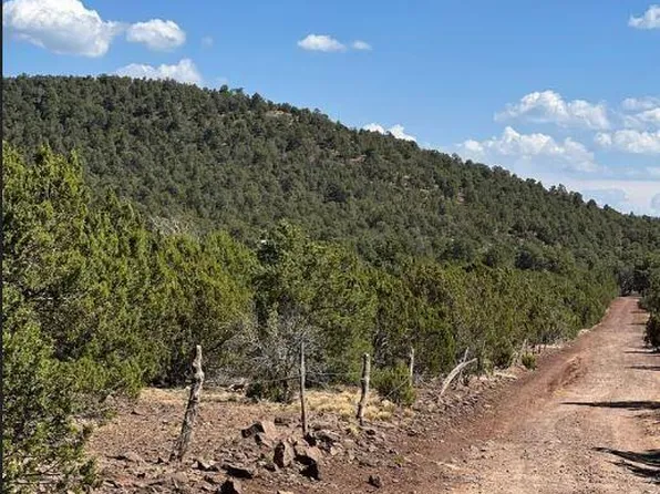 13A County Road 3319, Concho, AZ 85924