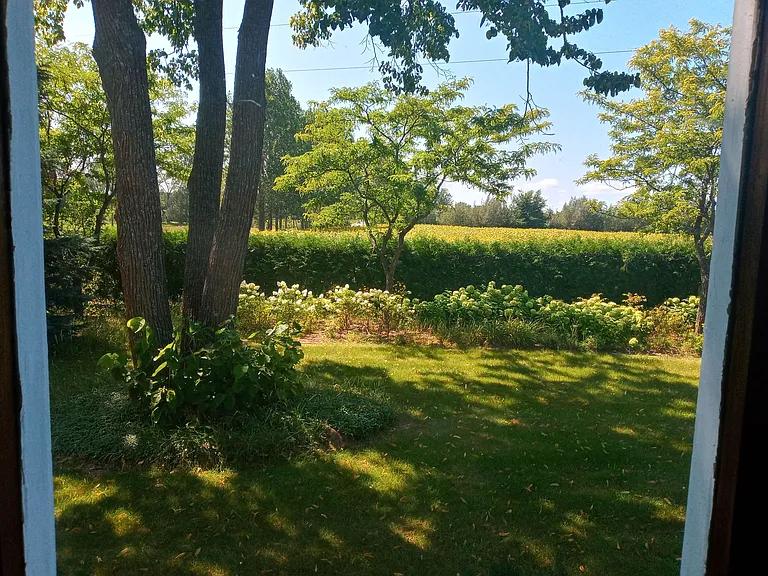 5385 E Traverse Hwy — Photo 13