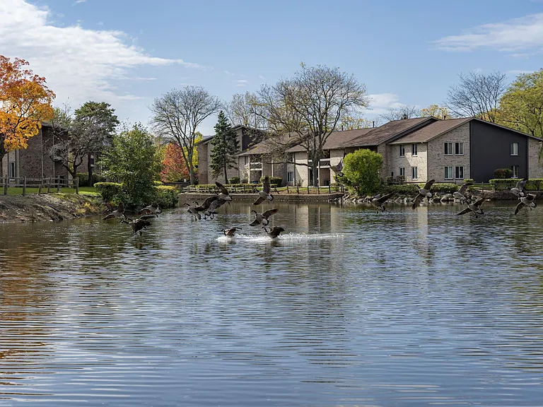 Lakeside Apartments — Photo 23