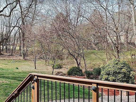Parkland behind house