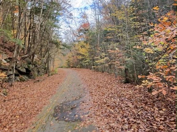 5th image of 00 Concord Road