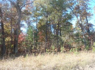 S Nelson Rd, Idlewild, MI 49642