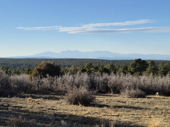 South Avalon Lot 14, Norwood, CO 81423