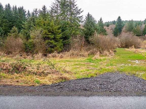 View from the county road of flag lot