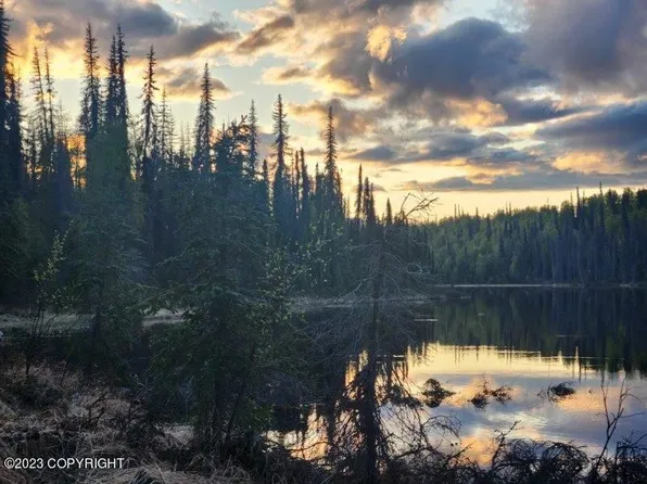 T00d No Rd, Skwentna, AK 99667