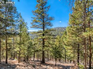 0 Elsie Rd, Conifer, CO 80433