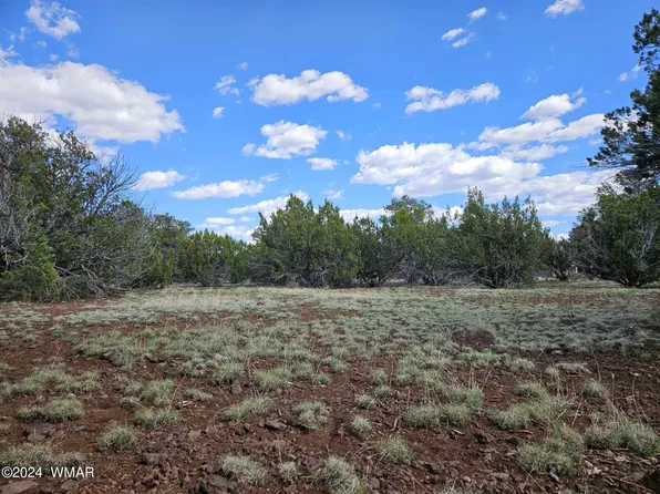 12&14 County Road 3573 N, Vernon, AZ 85940