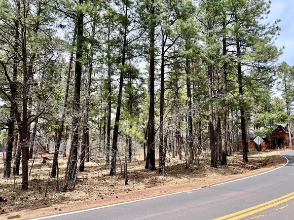 4024 Latigo Way, Pinetop, AZ 85935
