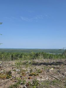 Lot #11 Tower Road, Cooper, ME, 04657