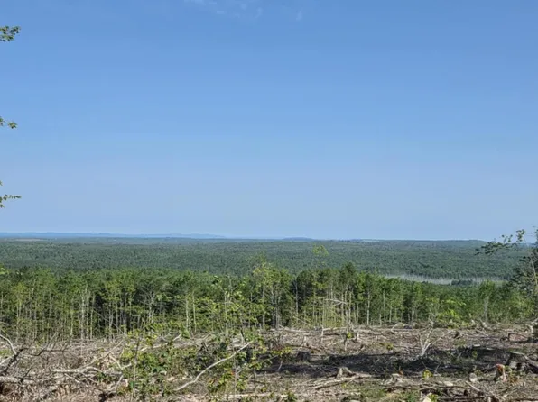 Lot #11 Tower Road, Cooper, ME 04657