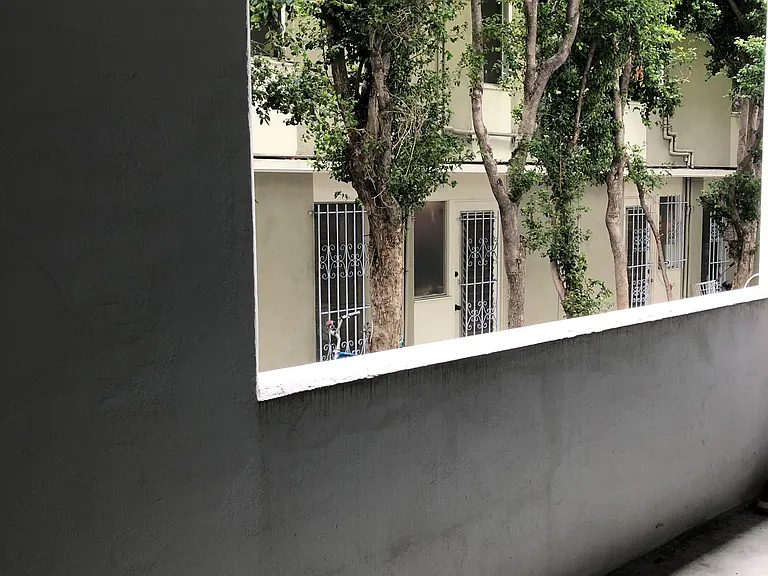 Alon Elm — Photo 28