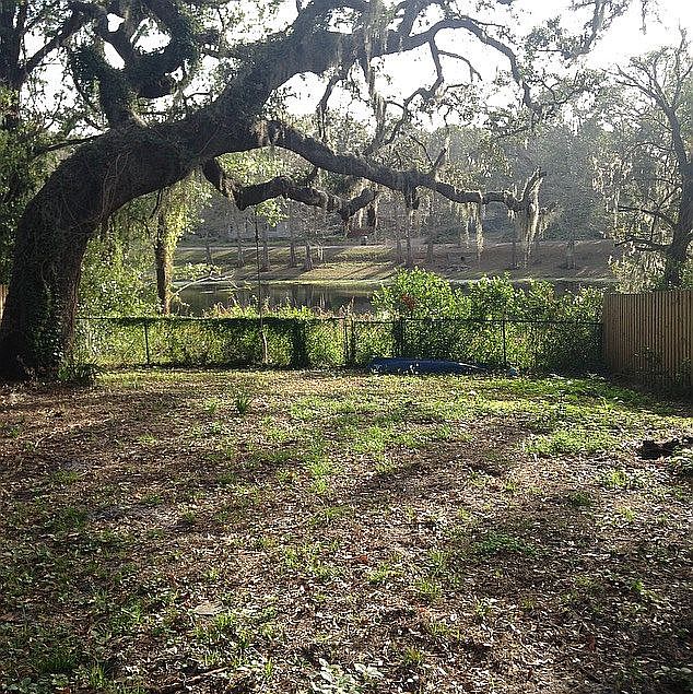 1st image of 933 S Mills Ave