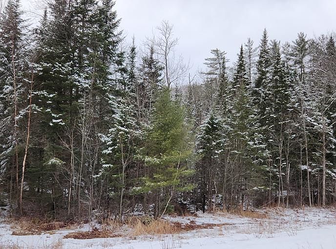 00 Spruceville Road Map 131, Lot 14, Milan, NH 03588 Zillow