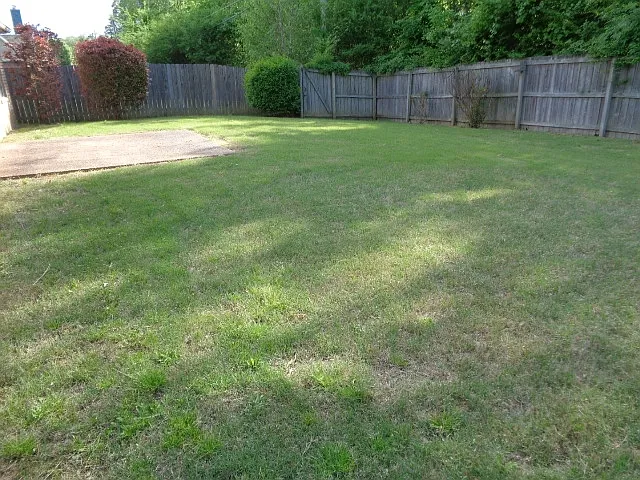 3015 Shadow Green Ln — Photo 10