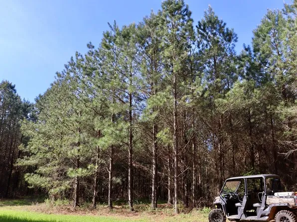 0 Highway 223, Banks, AL 36005