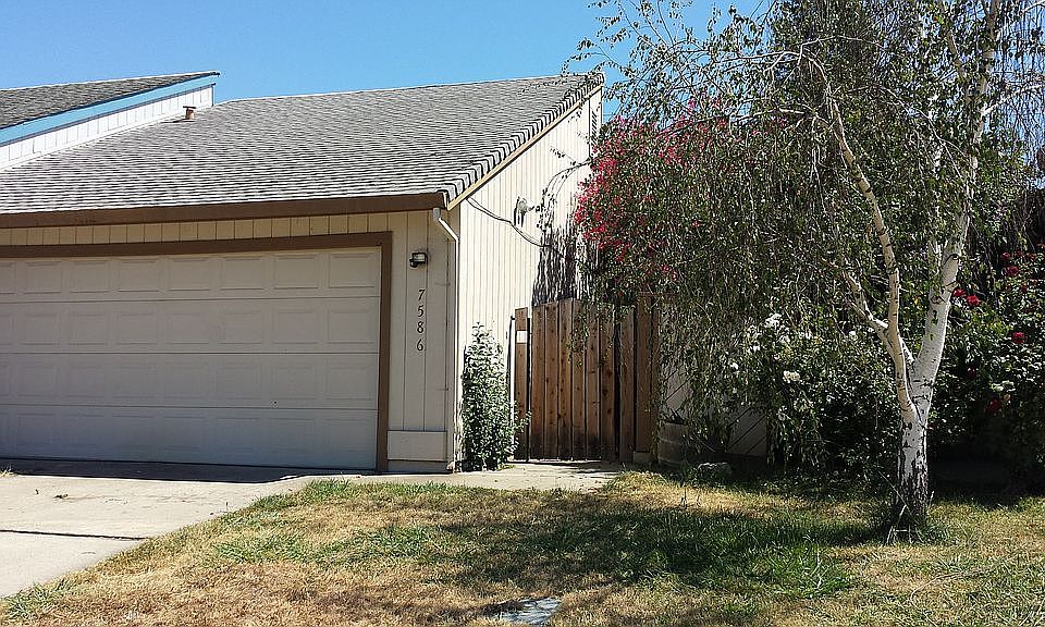 Front of Half-Plex