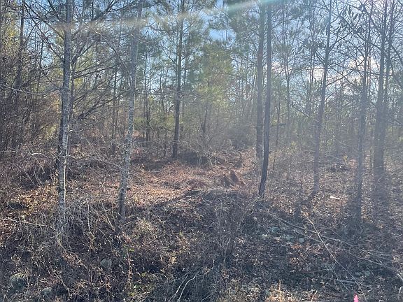 3rd image of 0 Rock Springs Rd