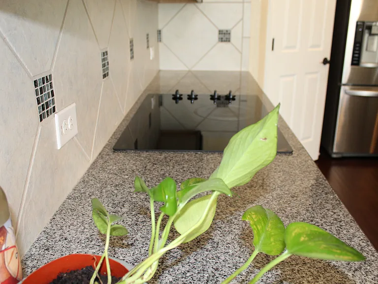 1322 Oriole Ct — Photo 11