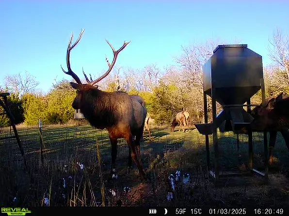 0 N 3840th Rd, Coalgate, OK 74538