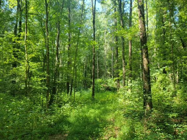 2 Tina Cir, Hillsboro, TN 37342