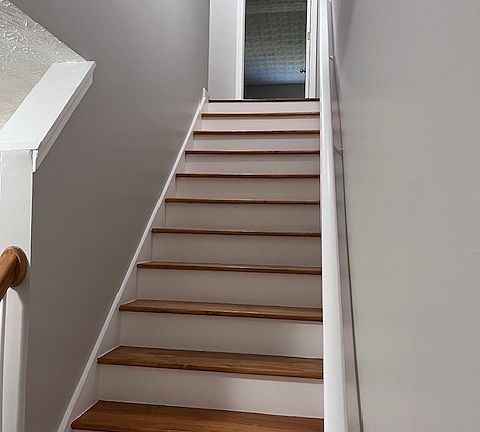 3rd image of 535 Magnolia Ct