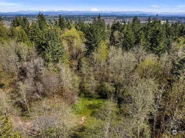 0 XXX S Prairie Road, Napavine, WA 98532