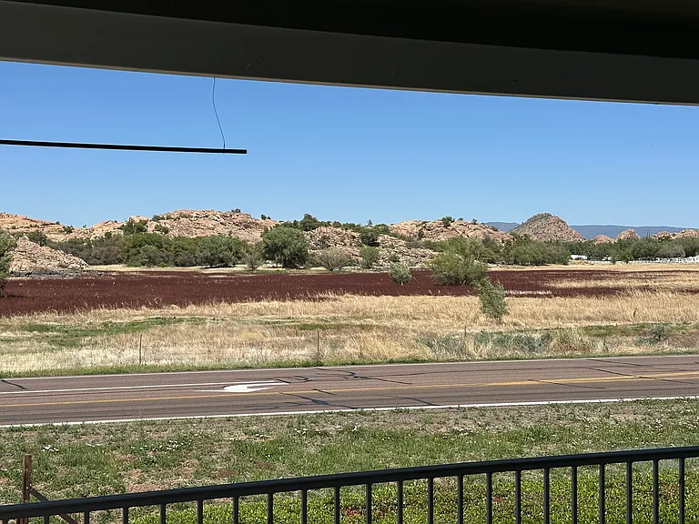 1888 Sarafina Dr — Photo 23