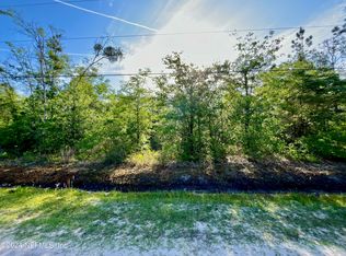 10230 Delgado Ave, Hastings, FL 32145