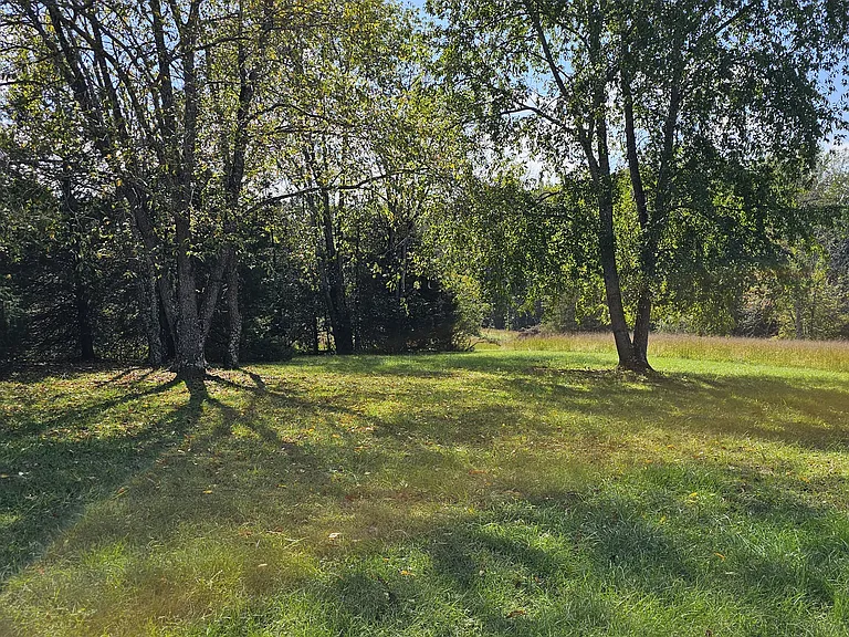 188 Ross Rd — Photo 5