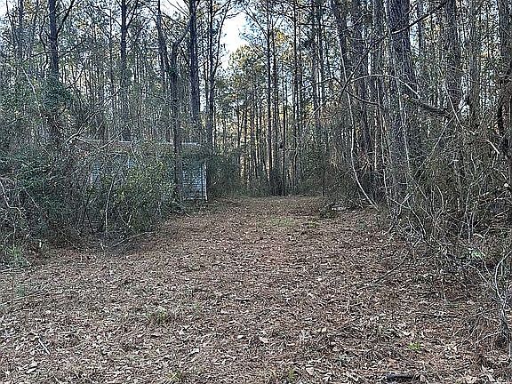 5th image of 365 Burgetown Rd