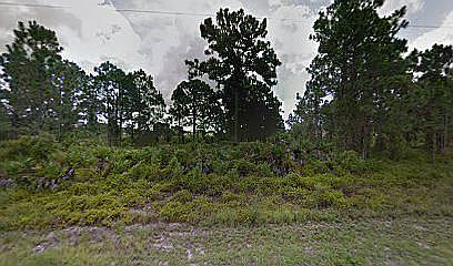 4th image of 1109 Columbo Ave S