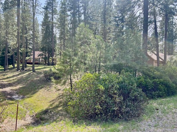 325 Eureka Springs Dr, Blairsden Graeagle, CA 96103