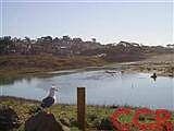 Santa Rosa Creek drops into Moonstone Beach, this is very close to the property