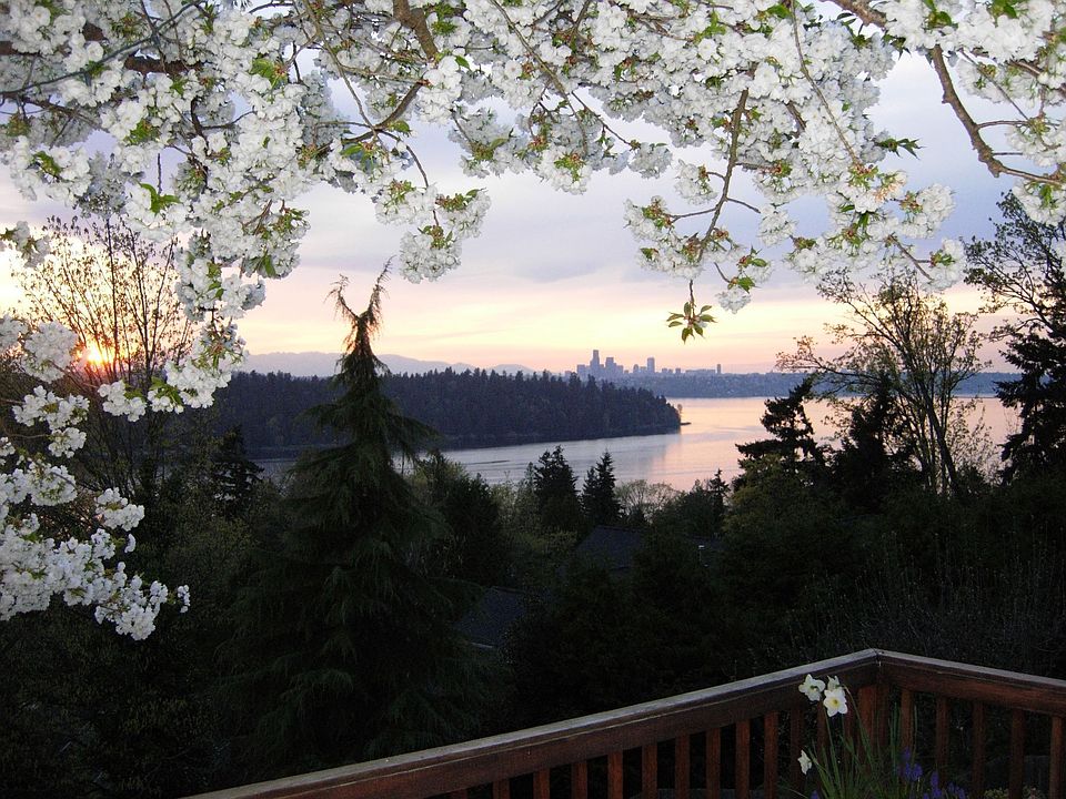 1st image of 8235 SE 61st St