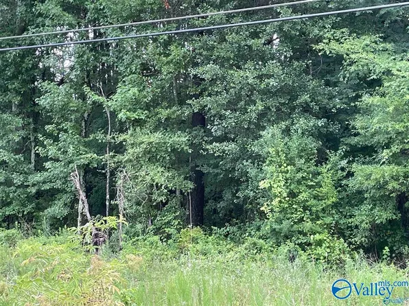 TRACT & B Summerford Orr Rd #A, Falkville, AL 35622