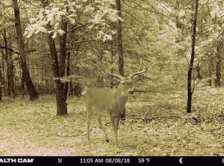 1064 Burrows Chapel Rd, Whitesboro, TX 76273