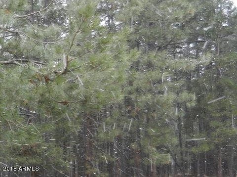 2nd image of 1183 Wild Rose Trl