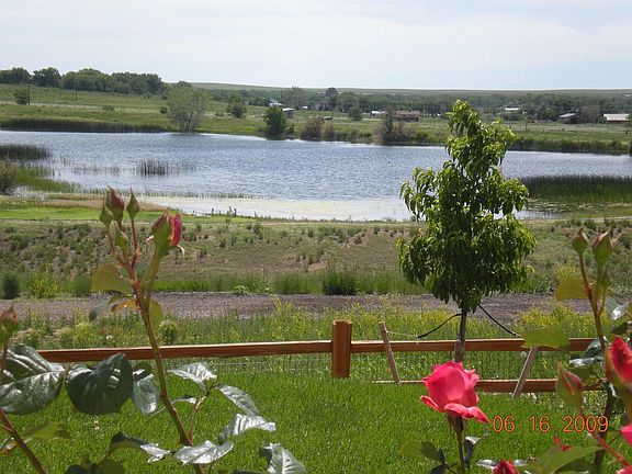View from the Back Yard of the Lake and Park
