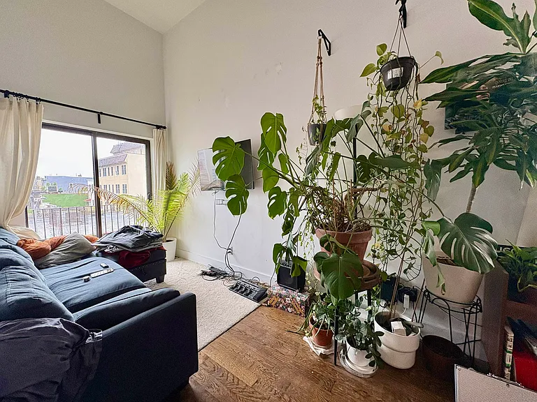 287 Harman St #3F — Photo 9