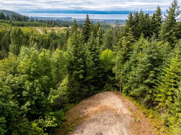 9999 S Old Mill Road, Port Angeles, WA 98362