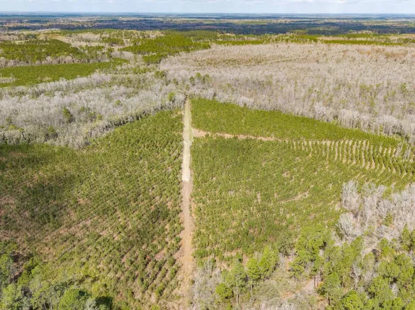 Xx1 Steverson Rd, Bonifay, FL 32425