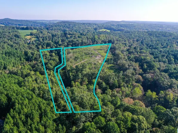 0 Bud Mountain Rd #24, Blountsville, AL 35031